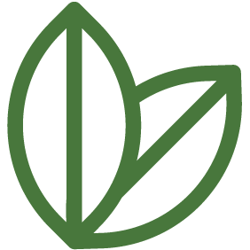 Landscape Architecture Icon